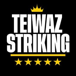 TEIWAZSTRIKING