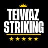 TEIWAZSTRIKING